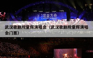 武汉歌剧院童辉演唱会（武汉歌剧院童辉演唱会门票）