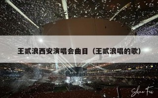王贰浪西安演唱会曲目（王贰浪唱的歌）