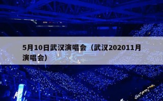 5月10日武汉演唱会（武汉202011月演唱会）