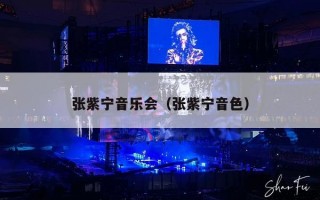 张紫宁音乐会（张紫宁音色）