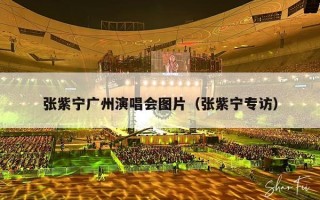 张紫宁广州演唱会图片（张紫宁专访）