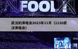 武汉的演唱会2023年11月（1120武汉演唱会）