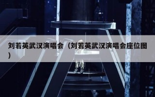 刘若英武汉演唱会（刘若英武汉演唱会座位图）