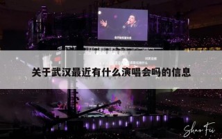 关于武汉最近有什么演唱会吗的信息
