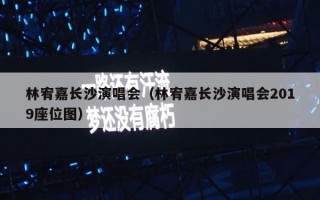 林宥嘉长沙演唱会（林宥嘉长沙演唱会2019座位图）