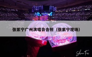 张紫宁广州演唱会合照（张紫宁现场）