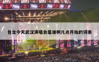 今天武汉演唱会是谁啊几点开始的？