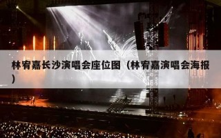 林宥嘉长沙演唱会座位图（林宥嘉演唱会海报）
