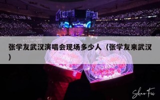 张学友武汉演唱会现场多少人（张学友来武汉）
