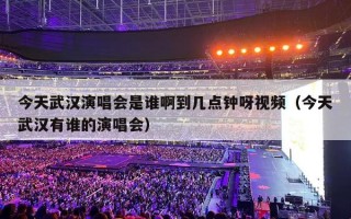今天武汉演唱会是谁啊到几点钟呀视频（今天武汉有谁的演唱会）