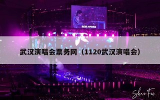 武汉演唱会票务网（1120武汉演唱会）