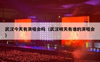 武汉今天有演唱会吗（武汉明天有谁的演唱会）