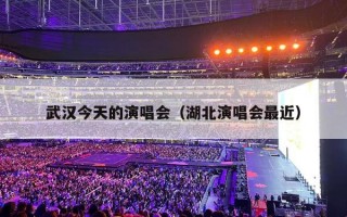 武汉今天的演唱会（湖北演唱会最近）