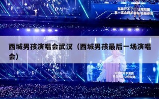 西城男孩演唱会武汉（西城男孩最后一场演唱会）