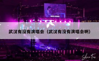 武汉有没有演唱会（武汉有没有演唱会啊）