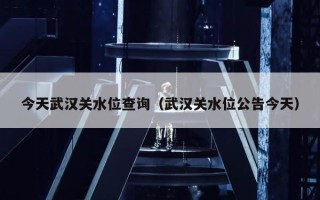 今天武汉关水位查询（武汉关水位公告今天）