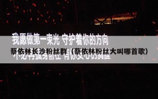蔡依林长沙粉丝群（蔡依林粉丝大叫哪首歌）