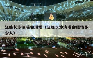 汪峰长沙演唱会现场（汪峰长沙演唱会现场多少人）