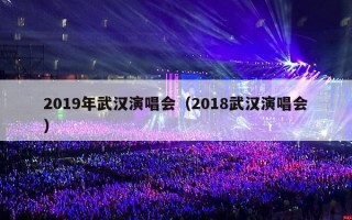2019年武汉演唱会（2018武汉演唱会）