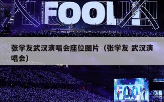 张学友武汉演唱会座位图片（张学友 武汉演唱会）