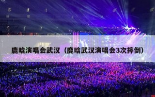鹿晗演唱会武汉（鹿晗武汉演唱会3次摔倒）