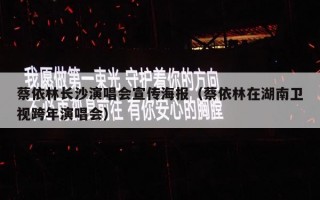 蔡依林长沙演唱会宣传海报（蔡依林在湖南卫视跨年演唱会）