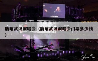 鹿晗武汉演唱会（鹿晗武汉演唱会门票多少钱）