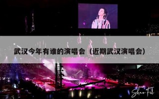 武汉今年有谁的演唱会（近期武汉演唱会）