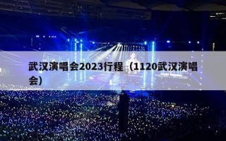 武汉演唱会2023行程（1120武汉演唱会）