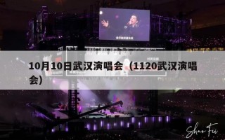 10月10日武汉演唱会（1120武汉演唱会）