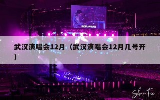 武汉演唱会12月（武汉演唱会12月几号开）