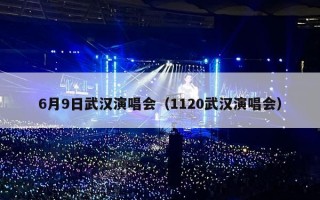 6月9日武汉演唱会（1120武汉演唱会）