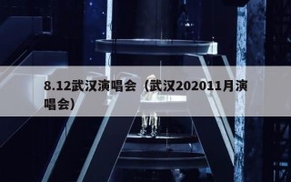 8.12武汉演唱会（武汉202011月演唱会）