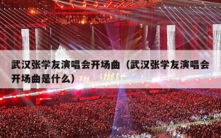 武汉张学友演唱会开场曲（武汉张学友演唱会开场曲是什么）