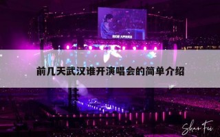 前几天武汉谁开演唱会的简单介绍
