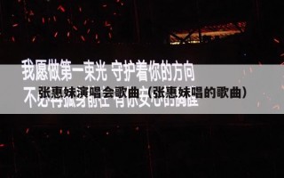 张惠妹演唱会歌曲（张惠妹唱的歌曲）