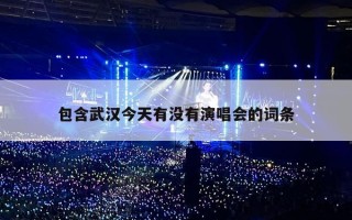 包含武汉今天有没有演唱会的词条