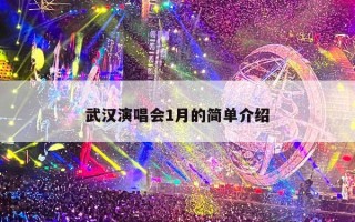 武汉演唱会1月的简单介绍