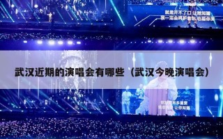 武汉近期的演唱会有哪些（武汉今晚演唱会）