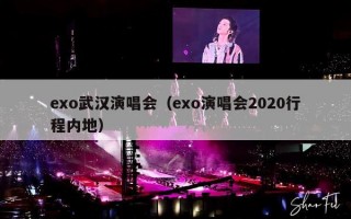 exo武汉演唱会（exo演唱会2020行程内地）