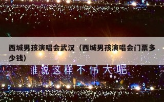 西城男孩演唱会武汉（西城男孩演唱会门票多少钱）