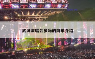 武汉演唱会多吗的简单介绍