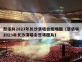 蔡依林2023年长沙演唱会现场图（蔡依林2023年长沙演唱会现场图片）