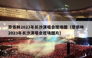 蔡依林2023年长沙演唱会现场图（蔡依林2023年长沙演唱会现场图片）