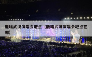 鹿晗武汉演唱会地点（鹿晗武汉演唱会地点在哪）