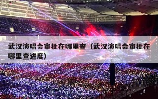武汉演唱会审批在哪里查（武汉演唱会审批在哪里查进度）