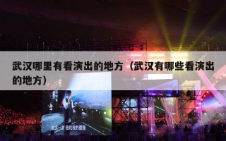 武汉哪里有看演出的地方（武汉有哪些看演出的地方）