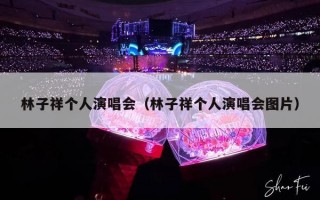 林子祥个人演唱会（林子祥个人演唱会图片）