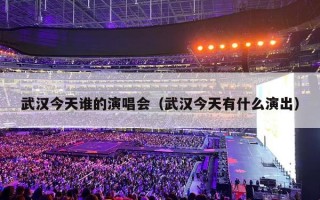武汉今天谁的演唱会（武汉今天有什么演出）