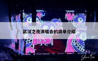 武汉之夜演唱会的简单介绍
